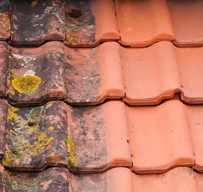A close-up photo shows a roof with two distinct sections: one side has weathered, mossy, and discolored terracotta tiles…