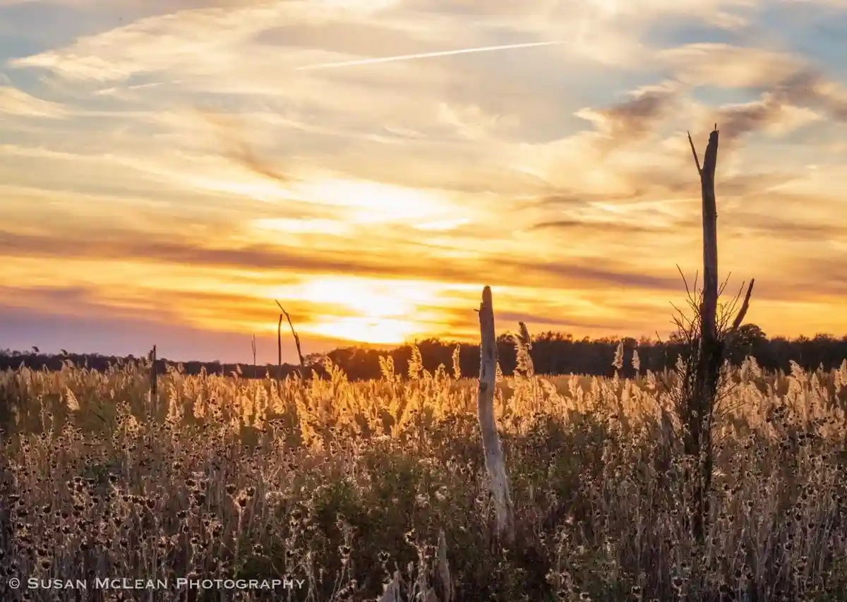 Chasing the Day Away: The Magic of Sunset