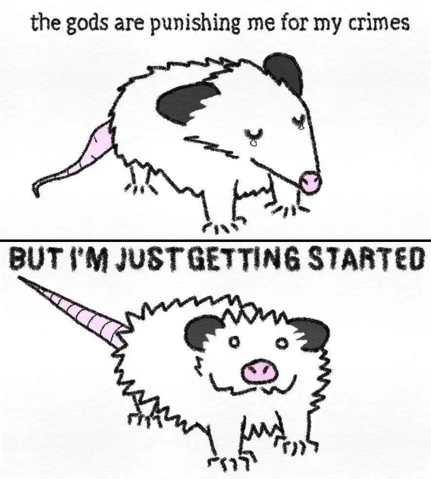 A two-panel cartoon meme featuring a drawn opossum. In the top panel, the opossum looks sad and teary-eyed with the text…