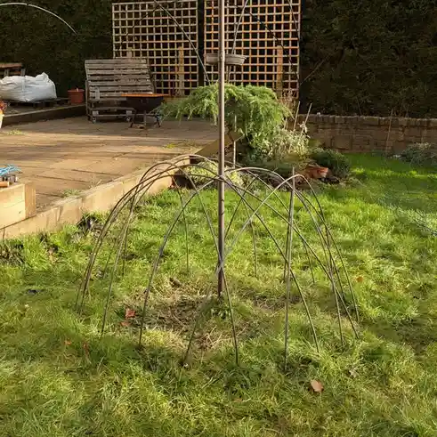 A metal plant support structure with multiple curved arches radiating from a central pole stands in a grassy garden. The…
