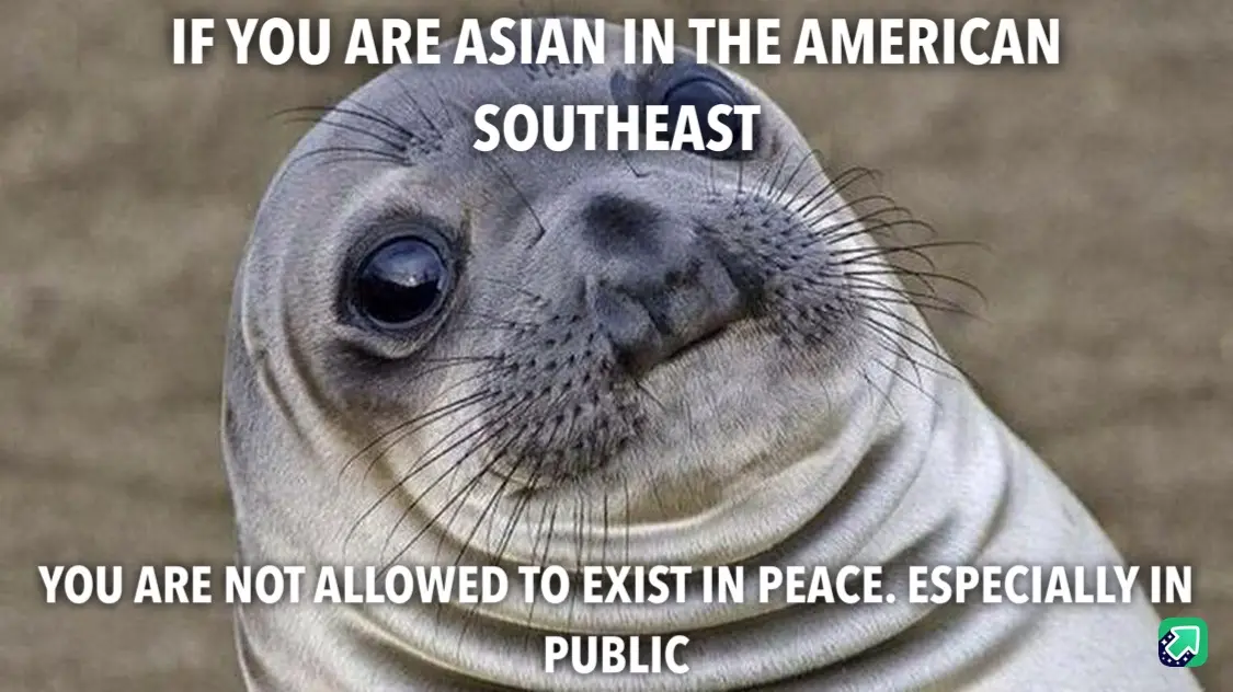 A close-up image of a seal pup with large, innocent eyes and a slightly smug expression, overlaid with bold white text. The…