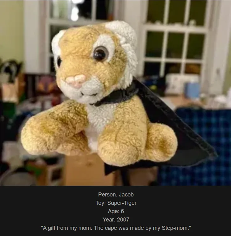 A close-up photo of a plush tiger toy wearing a black cape, held up against a blurry indoor background. Text overlaid at the…