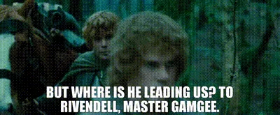 The meme juxtaposes three scenes from 'The Lord of the Rings' where characters discuss going to Rivendell, followed by a…