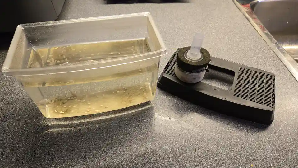 A clear plastic container with murky, debris-filled water sits next to a black aquarium filter on a speckled countertop. The…