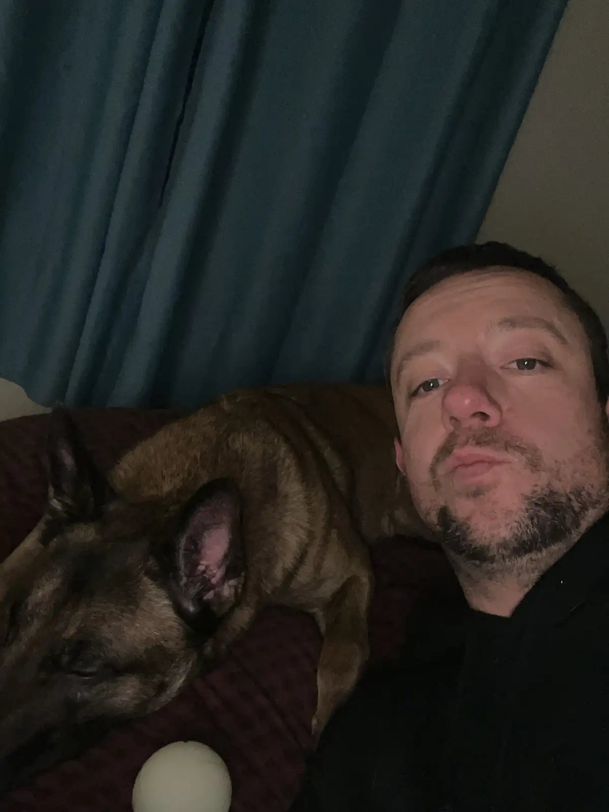 A man with a beard and black shirt takes a selfie lying on a red patterned couch next to a sleeping brown dog, with dark…