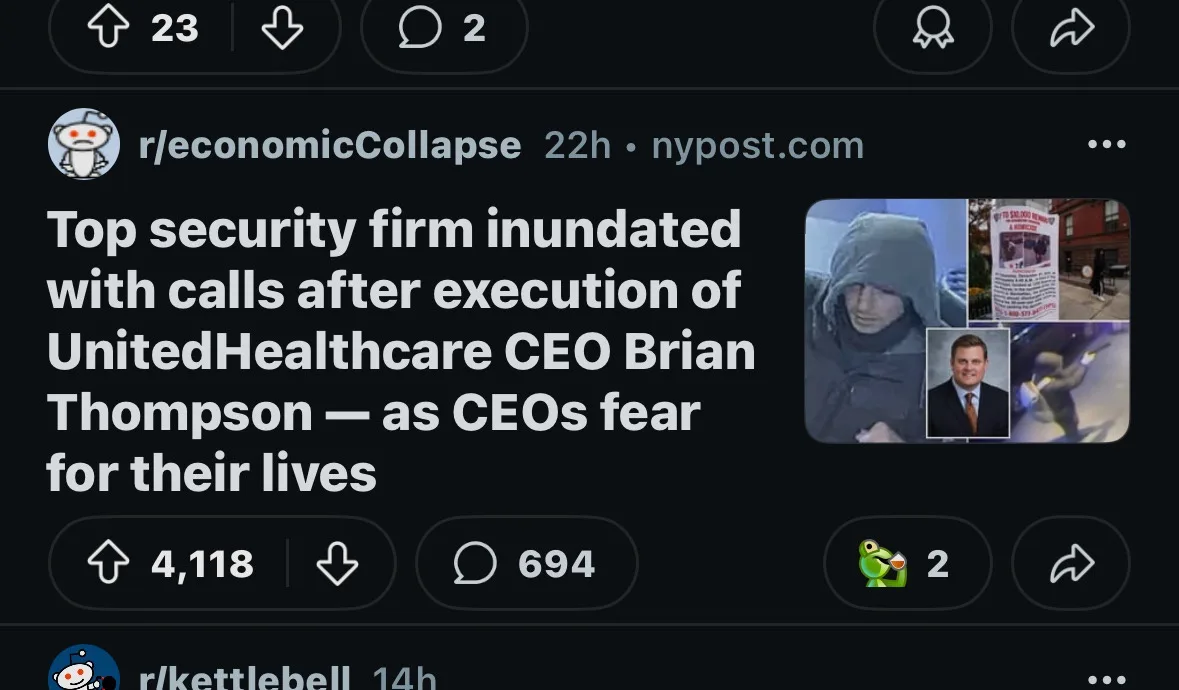 A Reddit post from r/economicCollapse shows a news headline about CEOs fearing for their lives after UnitedHealthcare CEO…
