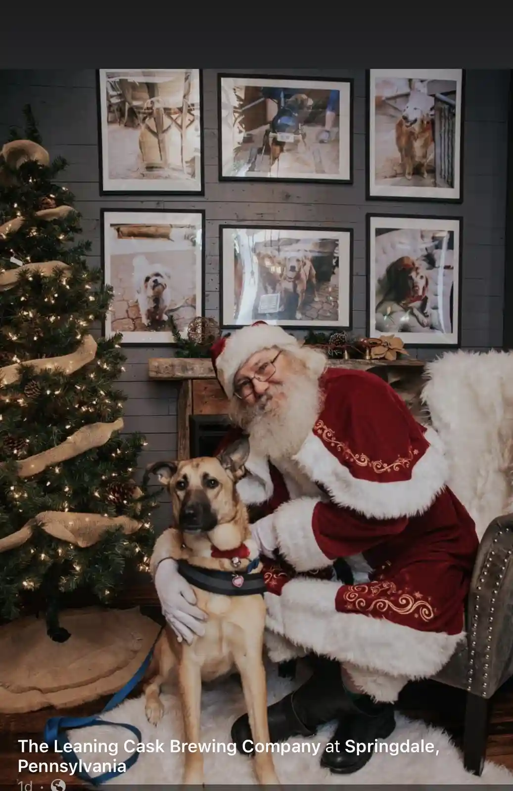 Kizzy's Magical Encounter with Santa