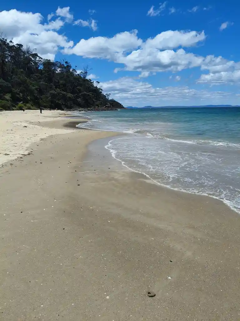 A serene beach scene with gentle waves lapping at a sandy shore under a bright blue sky with fluffy white clouds. A forested…