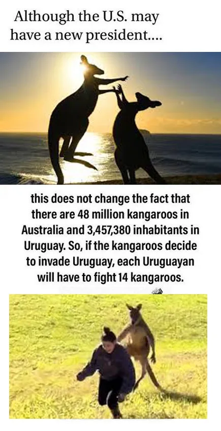 The image is a two-panel meme. The top panel shows two kangaroos silhouetted against a sunset over water, with text stating…