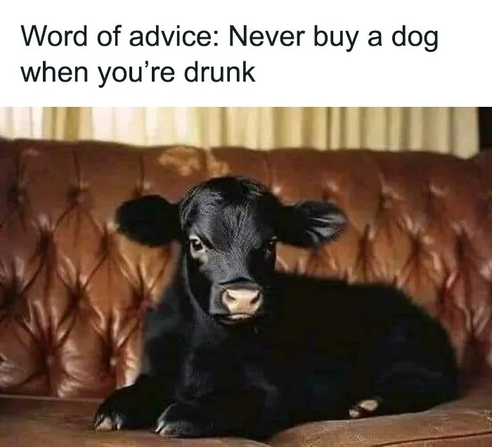 Cheers to Saturday Vibes!