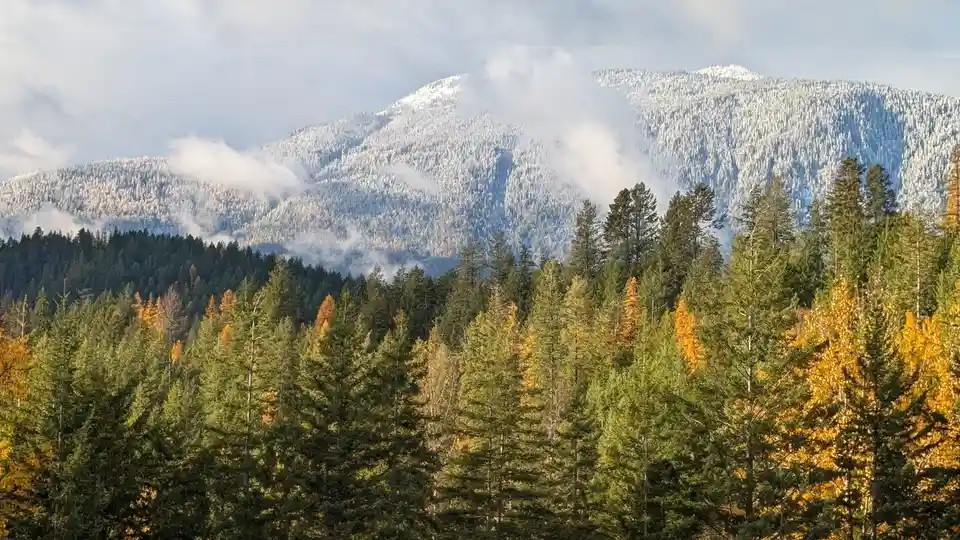 A scenic landscape photo shows snow-capped mountains partially obscured by clouds, with a foreground of evergreen and…