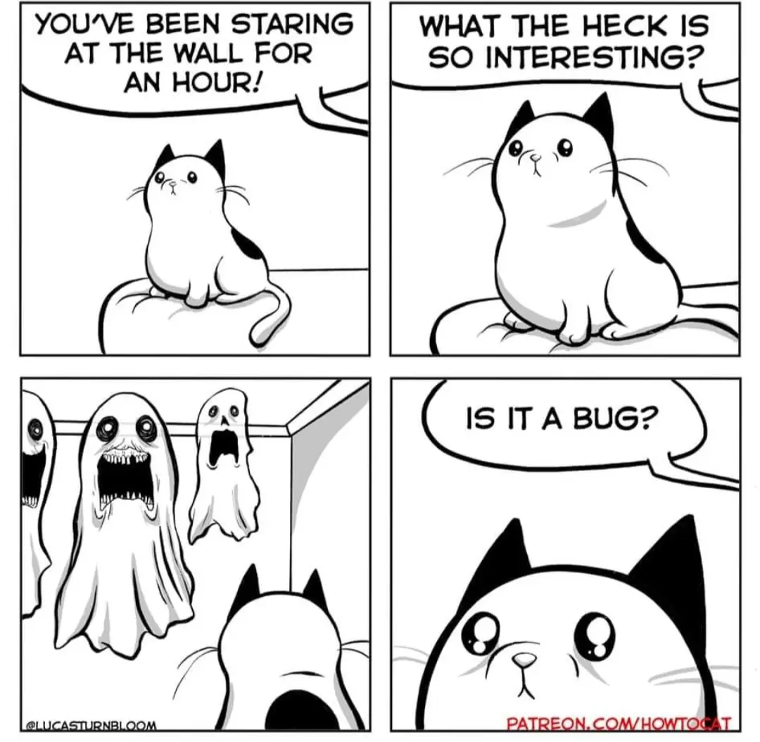 A four-panel black-and-white comic strip featuring a cartoon cat. In the first panel, the cat says, 'YOU'VE BEEN STARING AT…