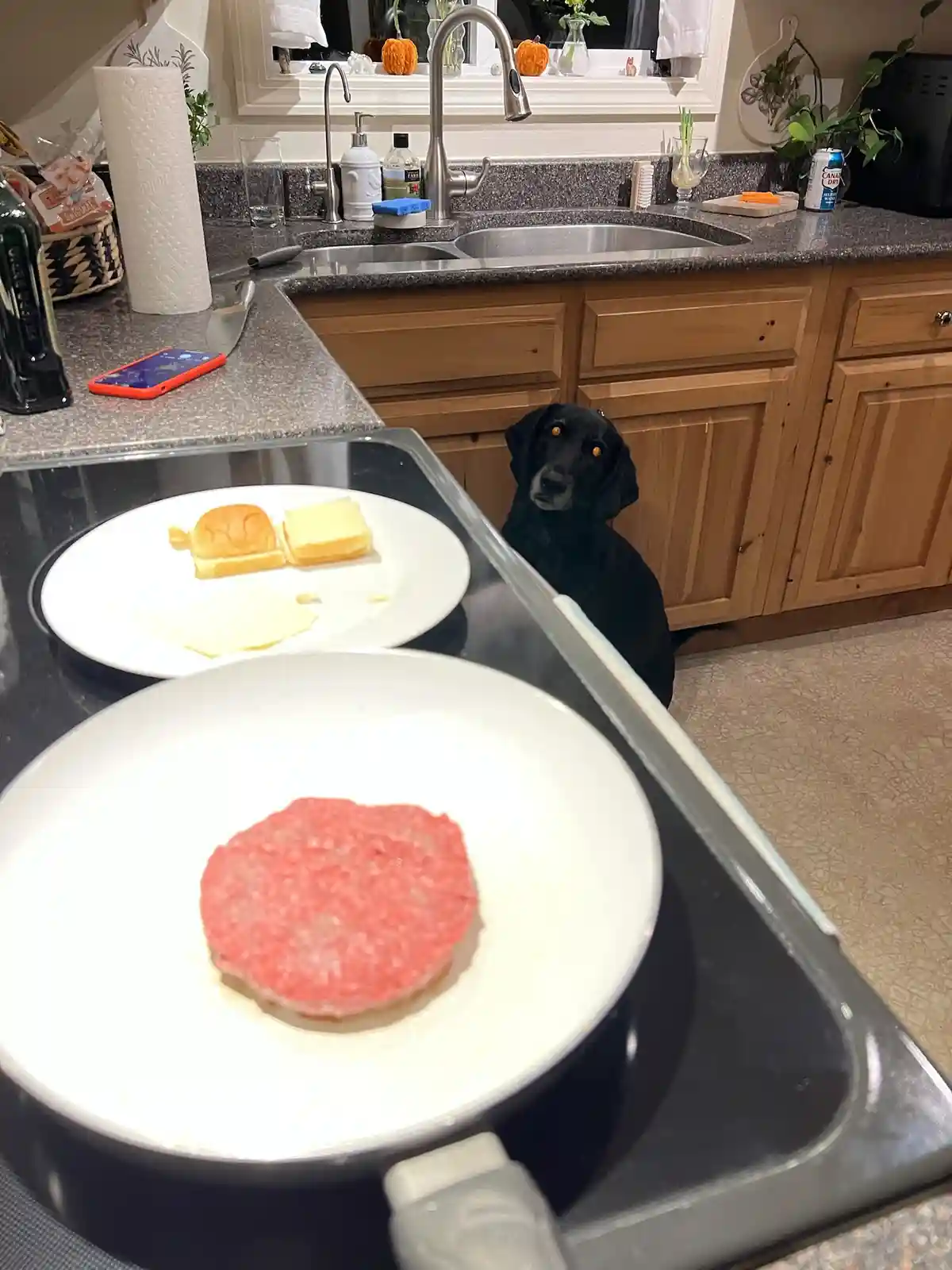 A black dog sits patiently in a kitchen, staring intently at a hamburger patty sizzling in a frying pan on the stove. In the…