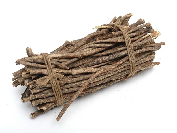 A bundle of dried, brown twigs tied together with twine against a plain white background. Overlaid text reads: 'i'm not…