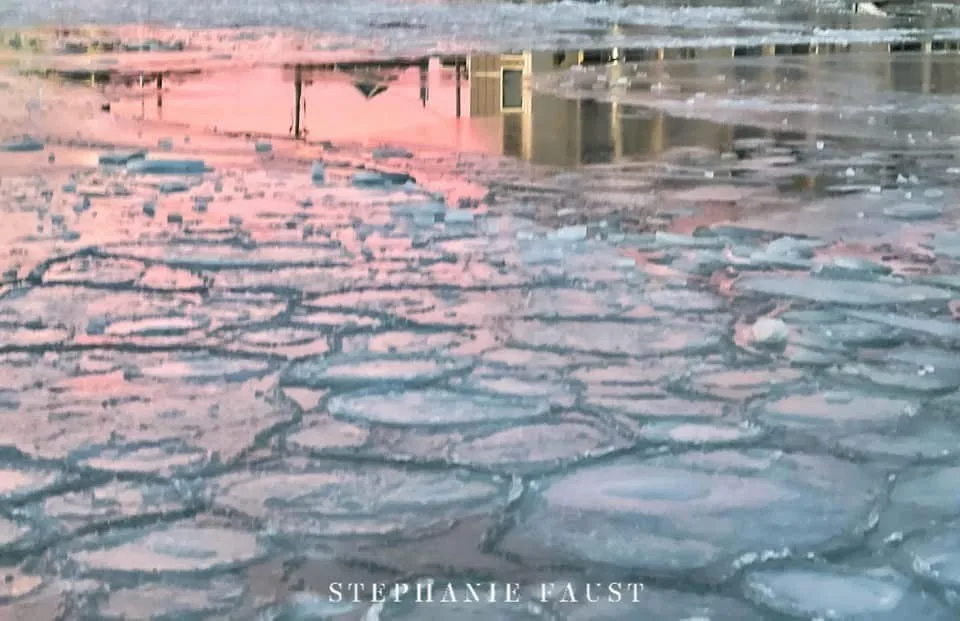 A close-up photo of cracked, circular ice floes floating on water, reflecting pink and orange hues from a sunset or sunrise…