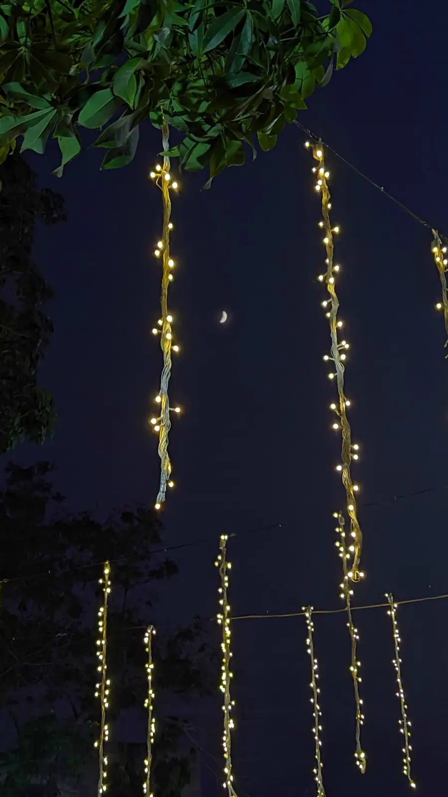 A nighttime photo shows strings of warm white fairy lights hanging vertically against a dark sky, with a crescent moon…