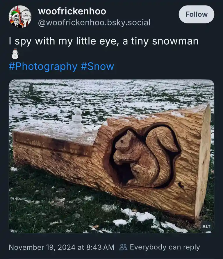 A photo shows a large, intricately carved wooden log bench featuring a detailed squirrel relief on one side, set in a snowy…