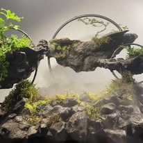 A close-up of a terrarium or miniature landscape featuring moss-covered rocks, green plants, and a curved metal archway…