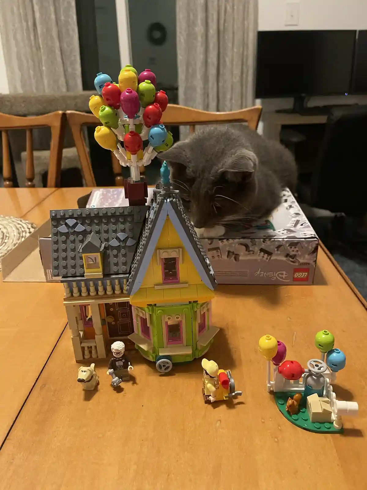 A gray cat is perched atop a LEGO Disney set box, leaning over a completed LEGO model of the house from Up, which has…