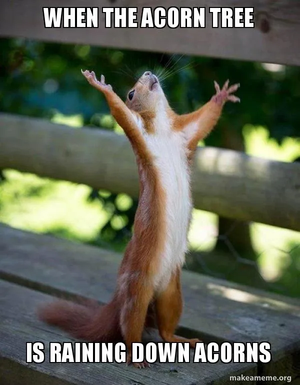 A red squirrel stands upright on a wooden bench with its arms raised in joy, looking upward as if celebrating. The text…