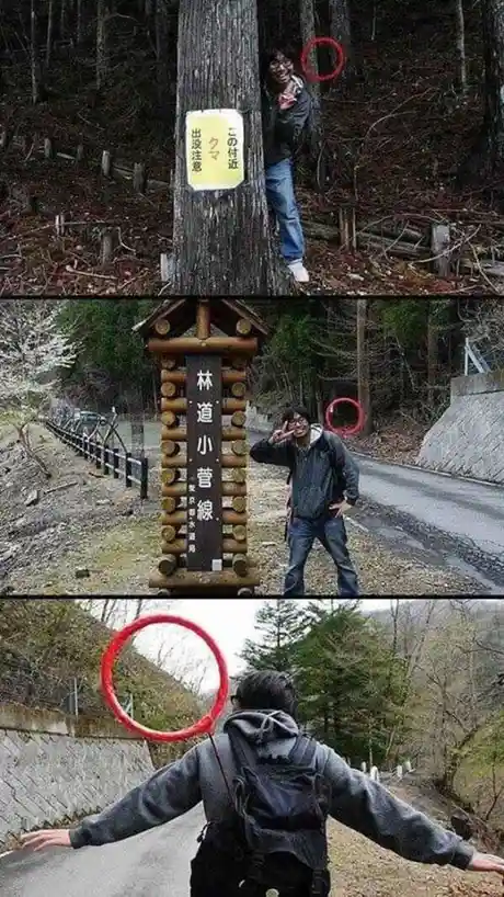 A man poses cheerfully in a forest, first peeking from behind a tree next to a 'Bear Warning' sign, then standing beside a…