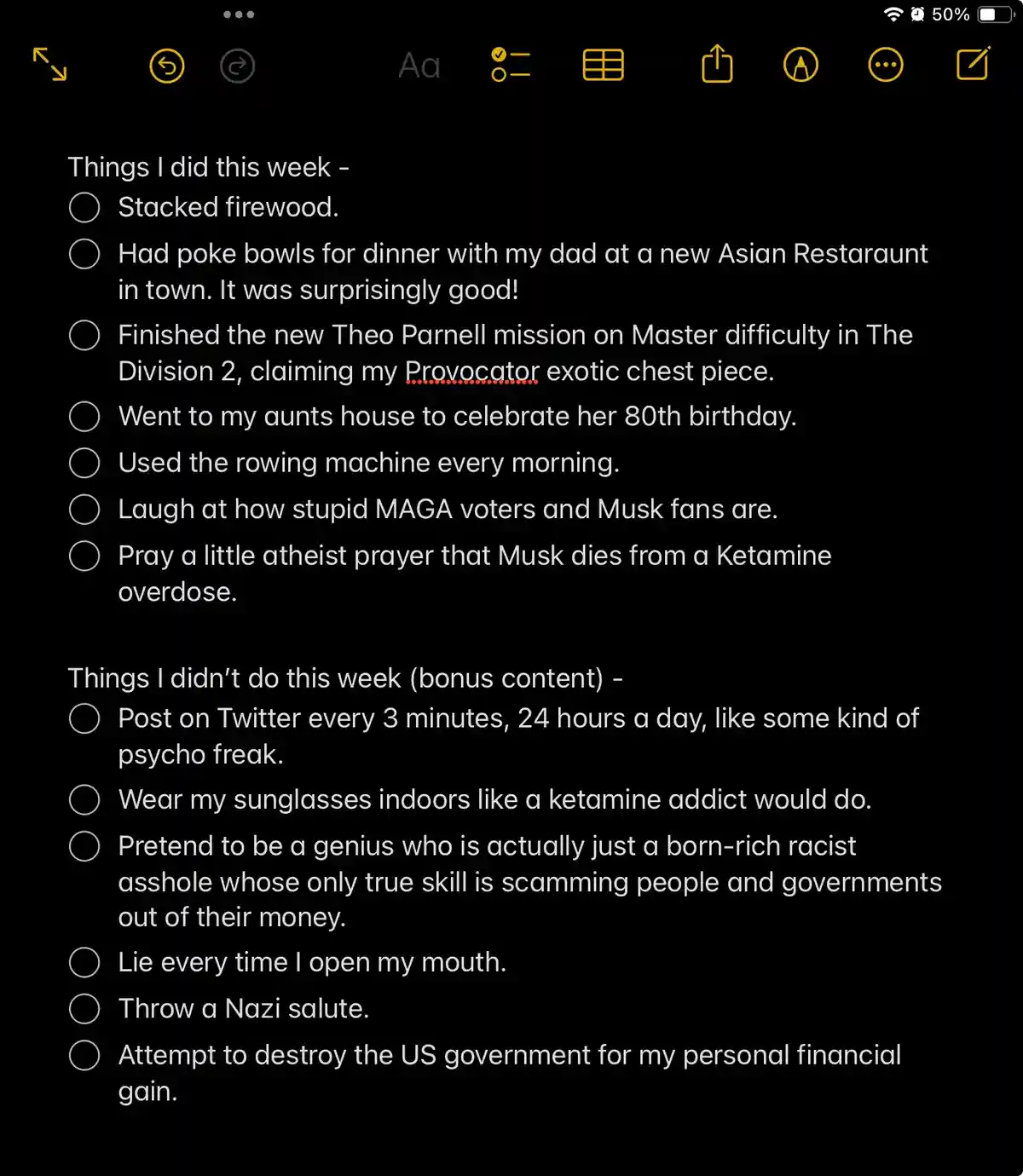 Crafting My Bullet Points for Musk: A Work in Progress