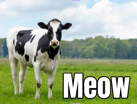 The Adorable Meow Cow: A Feline Twist