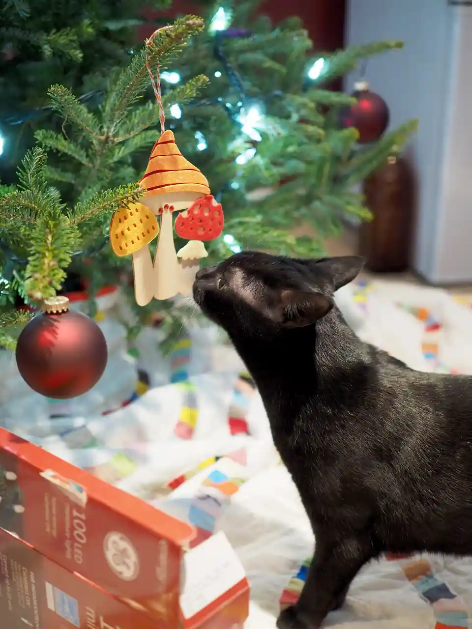 A black cat is standing on a colorful quilt and intently sniffing a wooden mushroom-shaped ornament hanging from a lit…