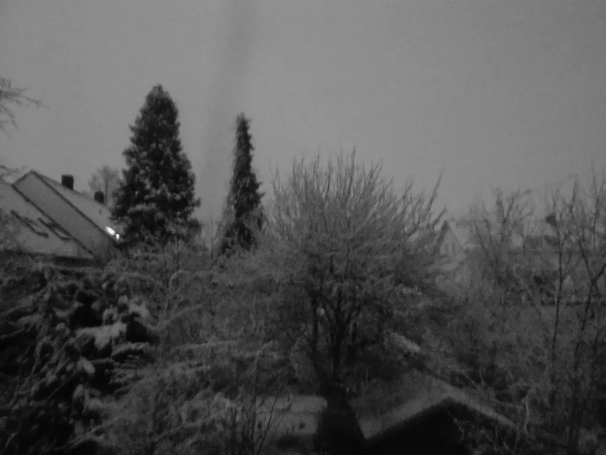 A grainy, black-and-white photo shows a snowy, overcast residential scene with trees and rooftops. The overlaid text reads…