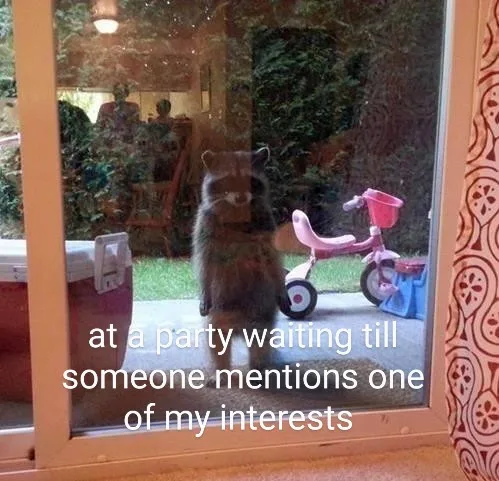 A raccoon stands upright on a patio outside a glass door, looking intently inside a house where people are seated. A pink…