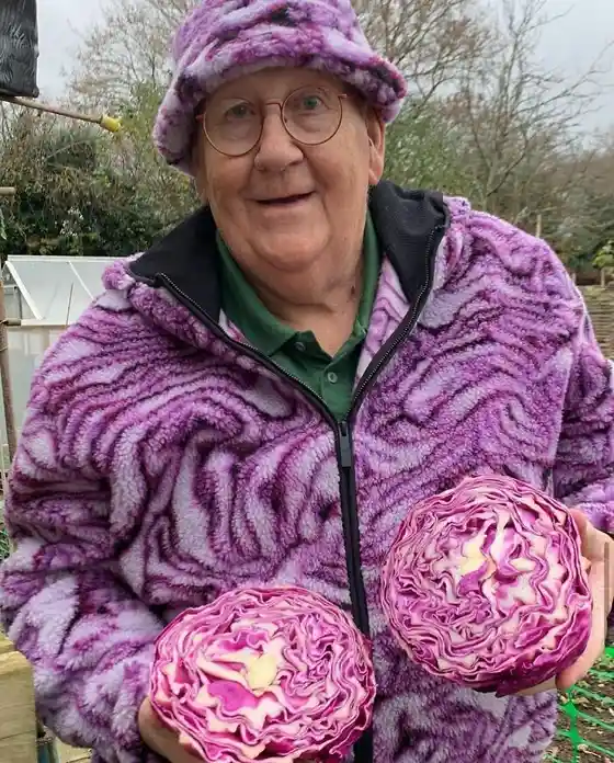 An older person wearing a purple patterned fleece jacket and matching hat holds two halves of a purple cabbage, smiling at…