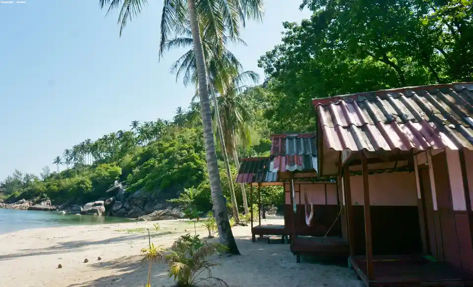 a serene tropical beach scene with palm trees, clear blue water, and a small wooden beach house with a weathered red roof…