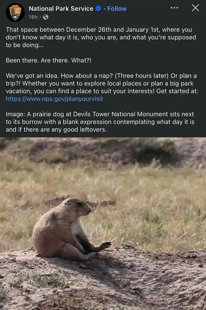 A prairie dog sits calmly next to its burrow in a grassy, arid landscape, appearing contemplative. The overlaid text from…