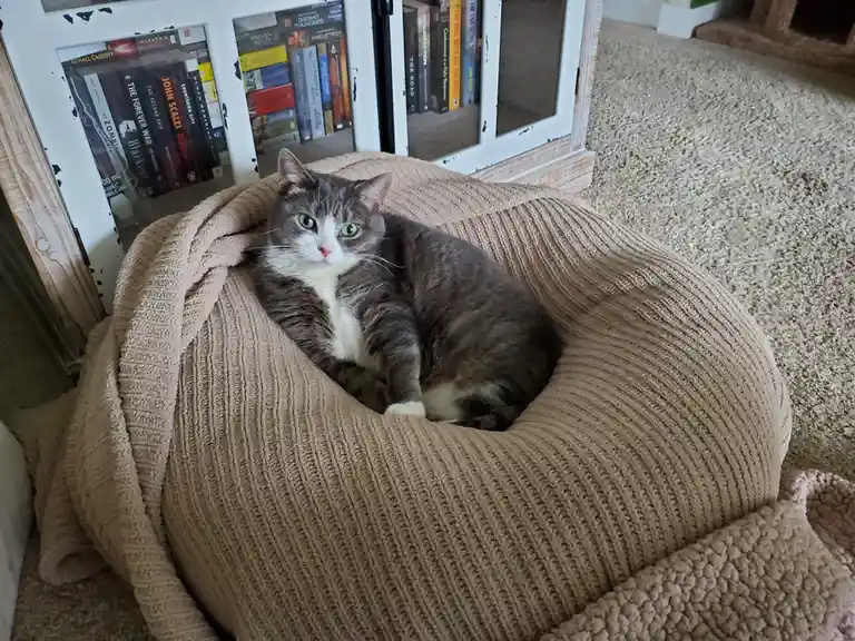 Here's a quick update on Ms. Story of Frumperton!