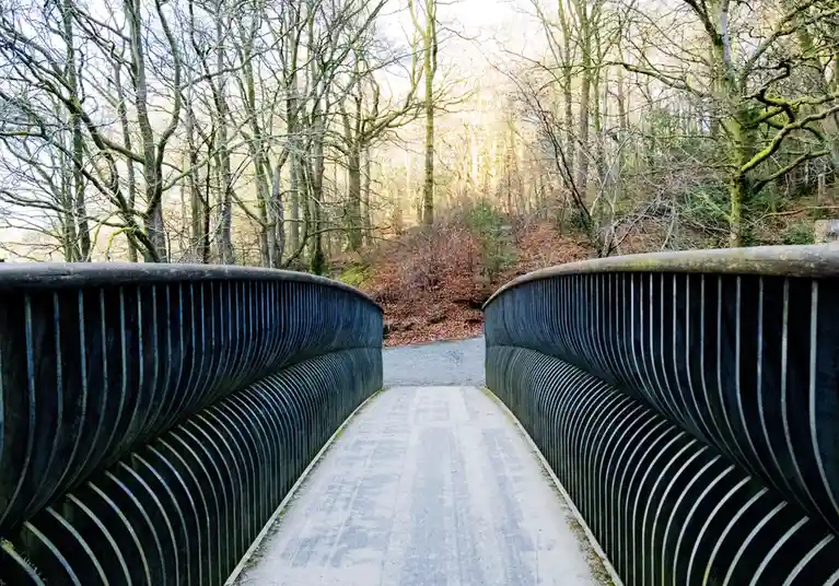 A low-angle shot shows a modern, curved pedestrian bridge with dark, ribbed metal railings leading into a forest of bare…