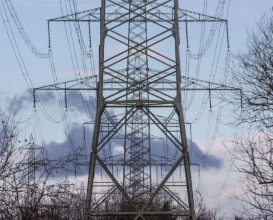 A tall metal electricity pylon stands against a cloudy sky, with bare tree branches visible at the edges. Overlaid text…