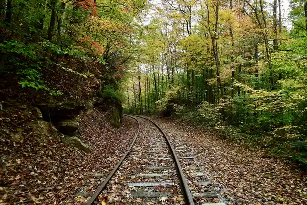 A point-of-view shot from a moving train shows tracks curving through a dense forest in autumn, with colorful yellow…