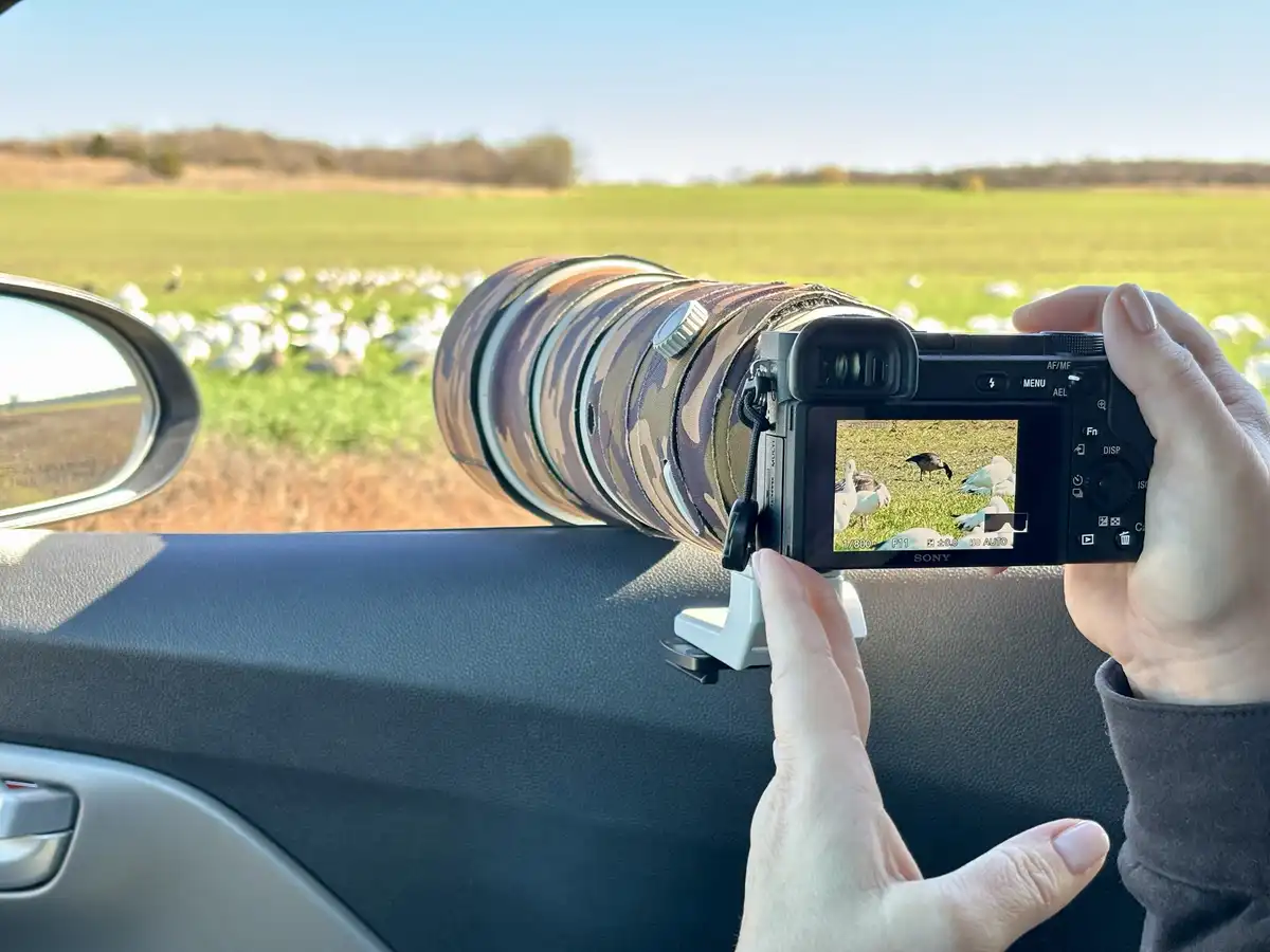 A person holds a Sony camera with a camouflage-covered telephoto lens mounted on a car dashboard, aiming at a field of…