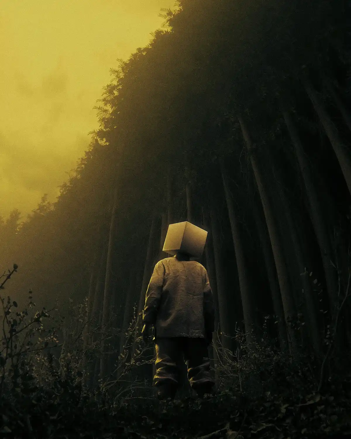 A person viewed from behind walks through a dark, misty forest with towering trees, their head replaced by a plain cardboard…