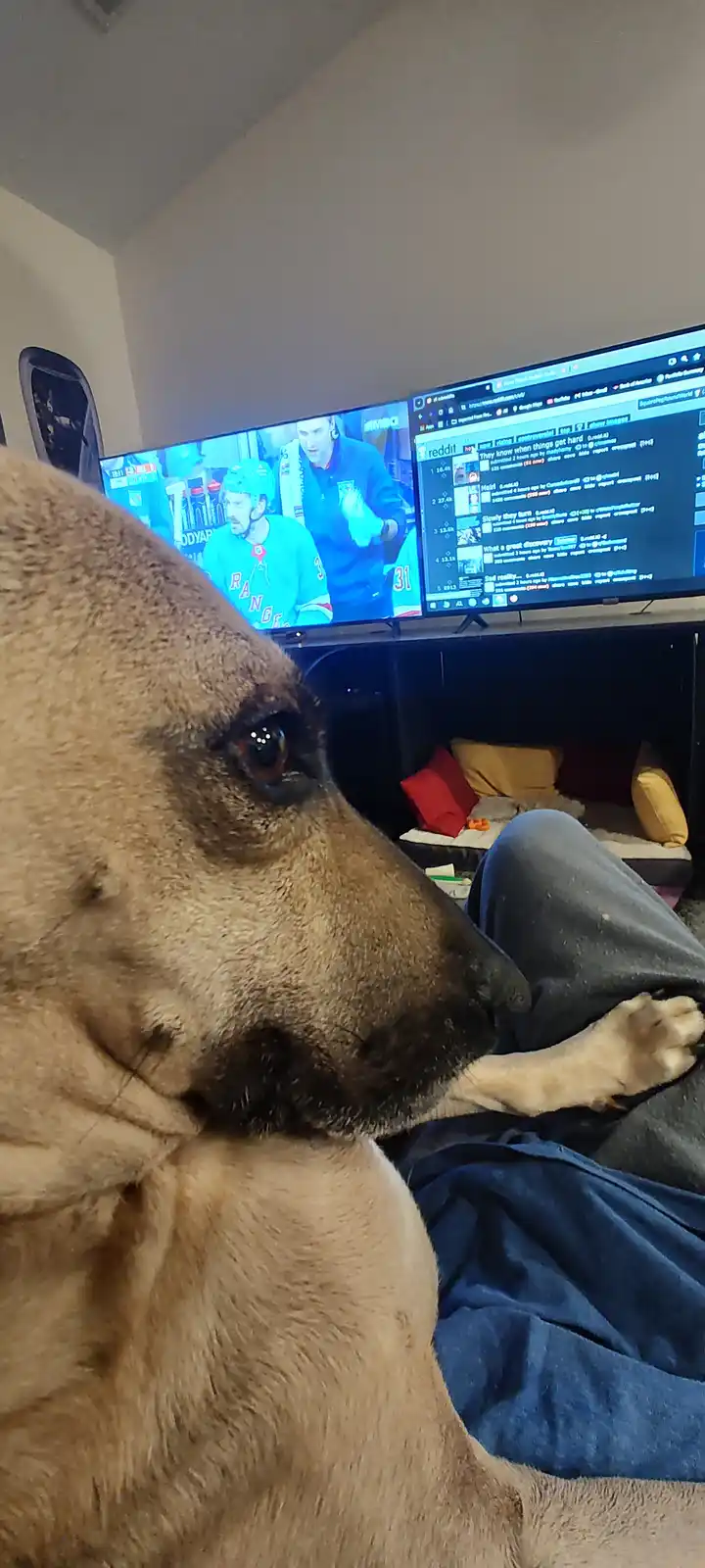 Maggie's Intermission: A Moment to Pause and Reflect