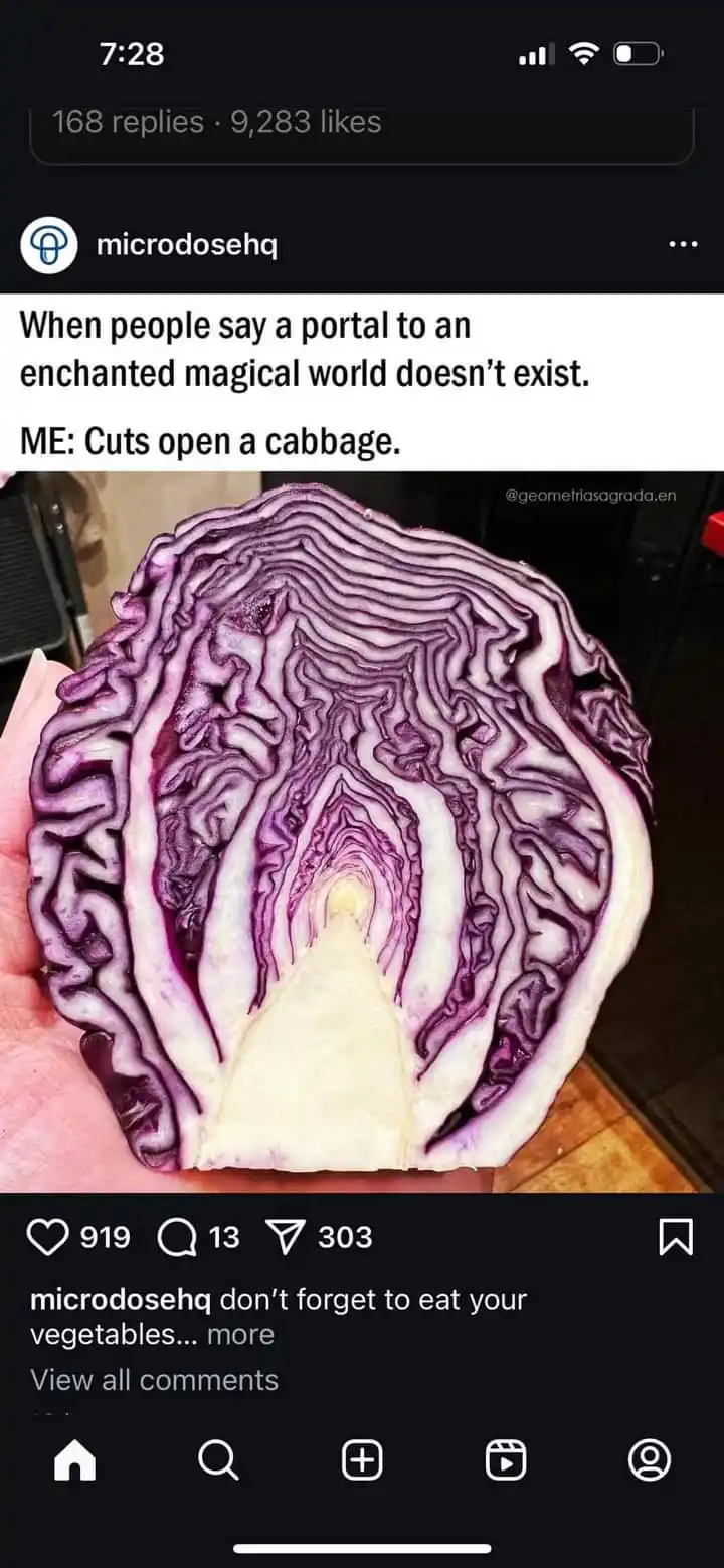 A close-up photo shows a hand holding a halved red cabbage, revealing its intricate, swirling purple and white inner layers…