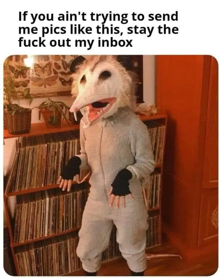 A person wearing a full-body, grey, furry opossum costume with a large, detailed head mask featuring a long snout and sharp…