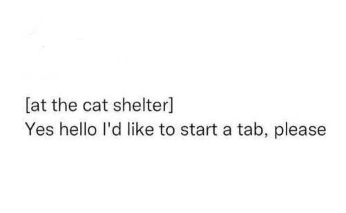 The image displays plain black text on a white background. The text reads '[at the cat shelter] Yes hello I'd like to start…