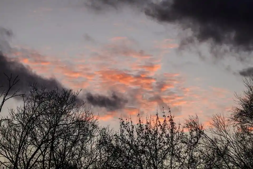 Witness the breathtaking beauty of an orange sky!