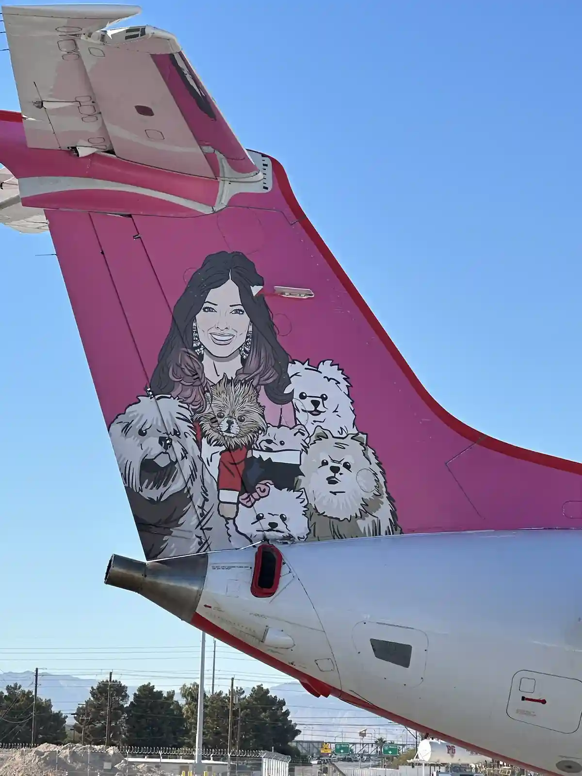 The image shows the tail of a pink airplane with a cartoon illustration of a smiling woman surrounded by several fluffy…