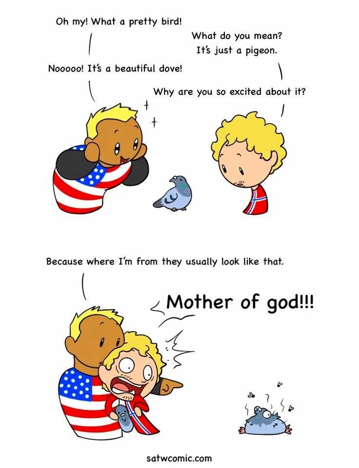 Two cartoon children, one wearing an American flag shirt and the other a Norwegian flag shirt, react to a pigeon. The…
