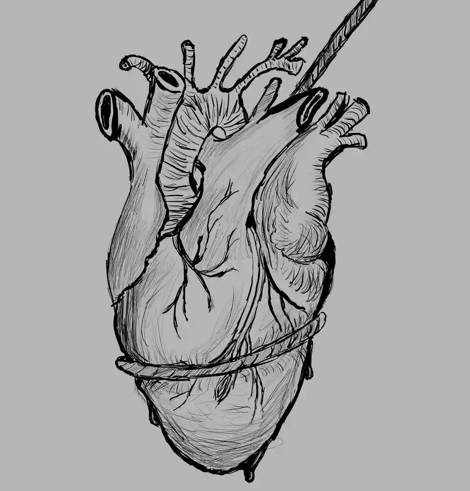 A black-and-white sketch of a human heart with a rope tied around its middle and another rope hanging from the top right…