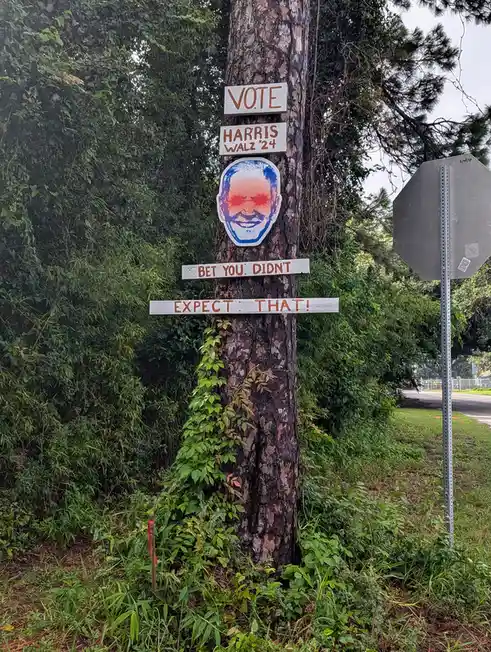 A tree in a grassy, wooded area has several handmade signs nailed to it. The top sign reads 'VOTE', followed by 'HARRIS WALZ…