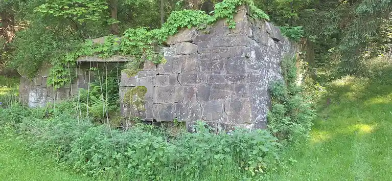 A weathered stone structure, possibly an old bunker or wall, is overgrown with green foliage and moss in a forested area…