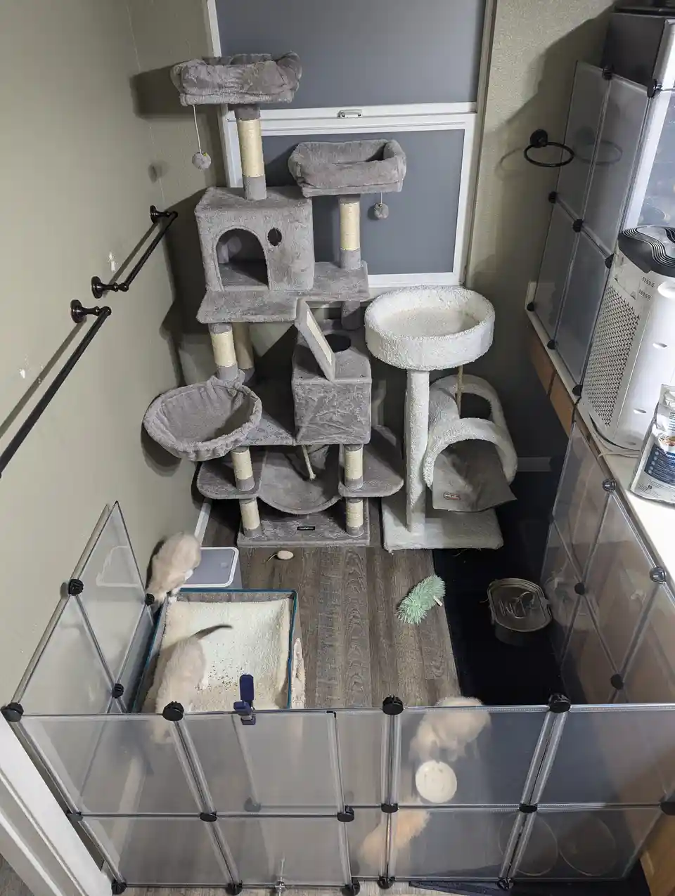 An overhead view of a room with multiple cat furniture pieces, including a large multi-level grey cat tree and a white cat…